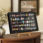 2pcs Clear Pin Display Case Dustproof Pin Collection Showcase Storage Organizer