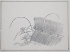 Garden Orchid Japanese Print Woodcut Woodblock Meiji Flowers   Brushwood Fence