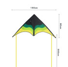 1pc Large Delta Beach Kite With 100m String     Easy To Fly For Beginners - New