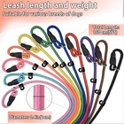 Nylon Dog Leash 11-pack  11 Assorted Colors  4 6ft For Small To Medium Dogs