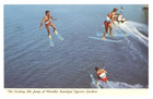 Lot Of 3 - Ski - Water Show   Cypress Gardens  Florida - Vintage Post Card