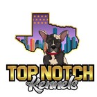 Professional Mascot Cartoon Logo Design With Source Files