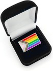 Progress Rainbow Pride Flag Lgbtqia  Enamel Lapel Pin With Magnetic