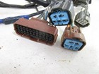 03 Honda Trx 350 Fe Rancher Wire Wiring Harness 32100-hn5-m10 2003