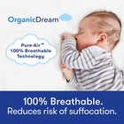 Organic Dream Pack And Play Mattress I  dual-sided  I Firm Infant Side   Memo   