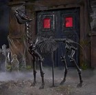 New 5 5 Ft Grave   Bones Led Skeleton Pony     In Hand 