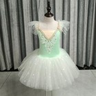 New Ballerina Party Sequined Dress Girls Dance Wear Ballet Leotard Tutu Dress
