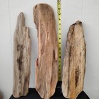 Lot Of Driftwood Flat ish   6 Pieces  For Diy Crafts  fl03