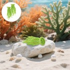 2 Pcs Fish Egg Collector Spawning Mops For Tank Aquarium Plant-like