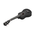 21 Inch Colored Acoustic Soprano Ukulele Ukelele Uke Kit Basswood With Carr Yzjd