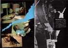 The Hills Have Eyes Japanese Souvenir Program 1984  Wes Craven