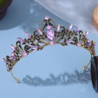 Bridal Tiara Wedding Crown Women s Crystal Hair Accessory Gold Silver