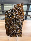 178 8grams Sericho Pallasite Meteorite Slice