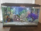 30 Gallon Fish Tank Plus 5 Gallon Quarintine Tank  plus More   Please See Pict  