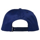 Spitfire Wheels Hat Bighead Fill Blue red