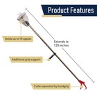 10ft Fruit Picker Pole With Basket Telescoping Fruit Grabber Reacher Tool