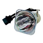 New Genuine Oem Infocus Original Projector Lamp Bulb For Infocus In2116 In2192