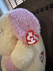 1999 Ty Baby Plush Puppy Dog Dogbaby Pastel Yellow Pink W Tag Rattle