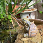 Fishing Turtle Garden Statue Creative Resin Figurine Outdoor Pond Decor Ornament