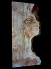 Xl Mind Blowing Curly Birdseye Maple Burl Wood Slab  Epoxy Wood  Figured Maple