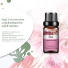 10 Ml Essential Oils - 100  Pure And Natural - Therapeutic Grade - Free Shipping