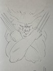 Mark Pacella Signed Original Pencil Sketch Wolverine X-force Marvel Comic Art