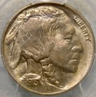 1913 Buffalo Indian Head Nickel Gorgeous Lustrous Beauty Type 1 Rev  pcgs Ms 64 