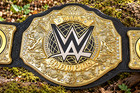 New World Heavy Weight Championship Replica Title Belt Adult 6mm Die Casting2612