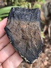 Natural Beautiful 2 95    Megalodon Tooth Fossil Shark Teeth