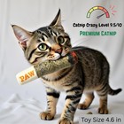 Nestpark Cat Doobie Catnip Toy - Crinkle Kitten Kicker With Green brown 