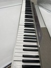 Casio Privia Digital 88-key Piano Px-110