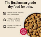 The Honest Kitchen Grain Free Beef Whole Food Clusters Dry Dog Food 10lb