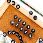 100 Pcs Numbered Push Pin Tacks 1-100 Sequential Number Pins Black
