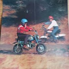 1973 Honda Z50a 50 Mini Trail Genuine Oem Brochure Poster 17x24 Laminated