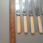 Made In Sheffield England Knives 9  Stainless Steel Faux Bone Handle Set Of 6