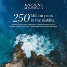 Ancient Minerals Magnesium Bath Flakes Of Pure Genuine Zechstein Chloride -