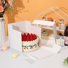 15 Pcs 8x8x8 Inches Cake Boxes Square Bakery Window Cajas Pasteles Decorating