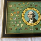 Vintage Washington State Enamel Lapel Pin Collection Shadow Box Seal Size 21x15