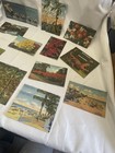 Vintage Florida Postcard Lot     Unused  Penny Stamp Era