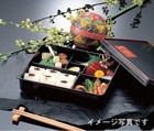 Echizen Lacquerware Long Bento Box Built-in Dividers Abs Black 10 1x8in Japan