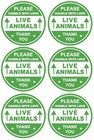 2 Inch 300 Pcs Green Live Animals Handle With Love Stickers