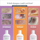 Clinical Care Antiseptic And Antifungal Medicated Shampoo For Dogs   Cats 16 Fl 
