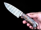 Custom Made Damascus Steel Hunting Skinner Knife Pinecone Resin Handle 2934