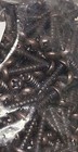  4  5  6 X 5 8 Round Head Screws Bronze Plated Steel Small Phillips Antique Bras