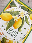 Stampin  Up  Card Kit - Citrus Blooms - All Inclusive Set Of 4 Cards