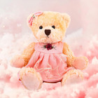 10 In Teddy Bear Plush Toy In Dress  Soft Cuddly Stuffed Animal