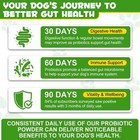 Probiotic  Prebiotic Powder  Digestive Enzyme Powder For Dogs - 120 Grams