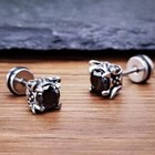 Men Unisex Gothic Black Cz Screw Back Stud Earrings Punk Jewelry Stainless Steel