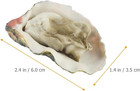 8-piece Realistic Oyster Model Set  2 36 Inch Pvc Eafood Display Simulation Food