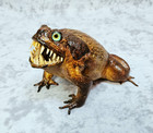 Cane Toad Freak Taxidermy Gaff Frog Oddities- Reptile Lizard Shark Teeth Monster